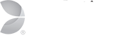 Evolution Gaming - proveedor de juegos de casino | play uzu casino